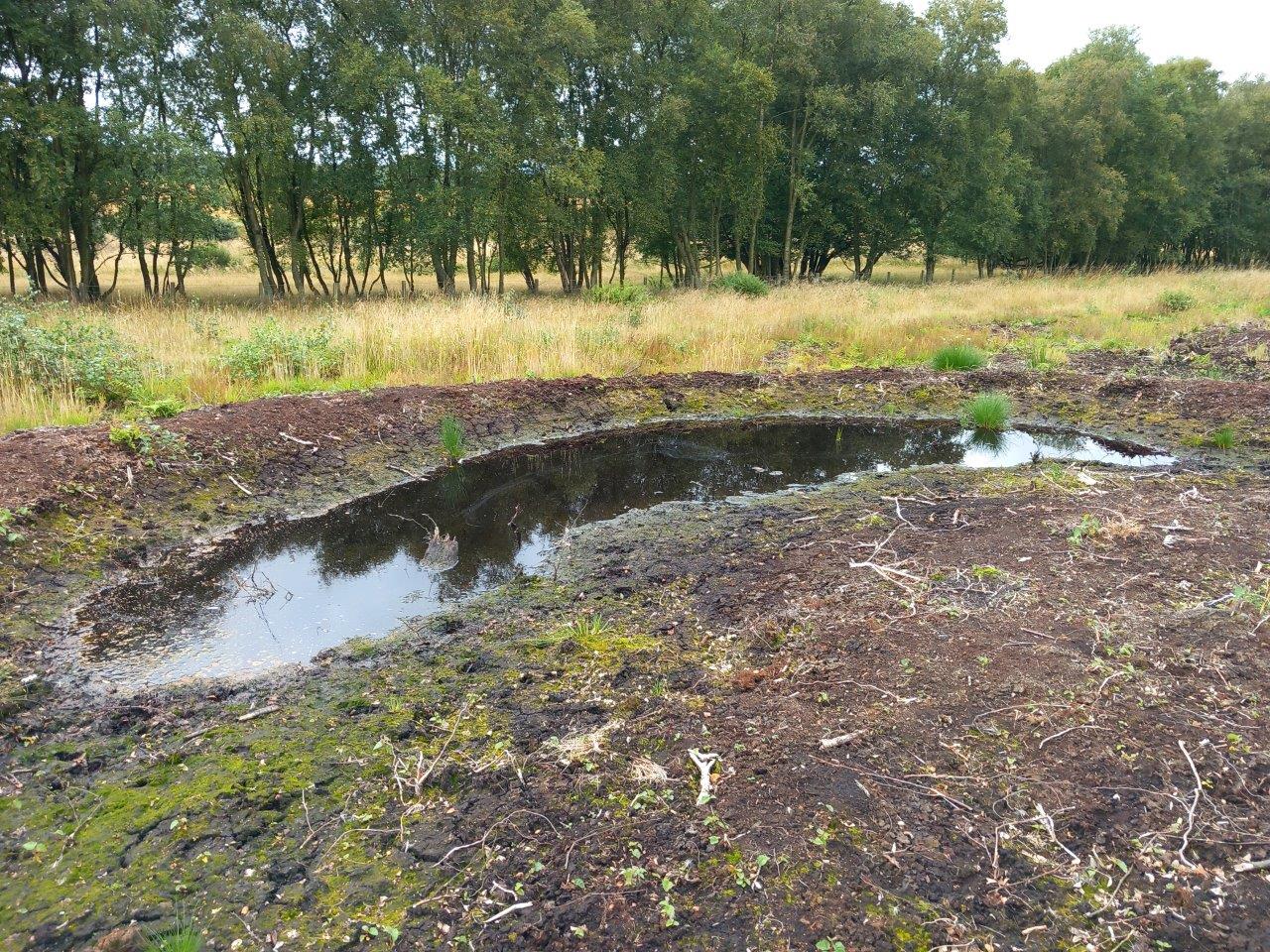 peatland-action-case-study-what-s-the-connection-between-peat-and-our